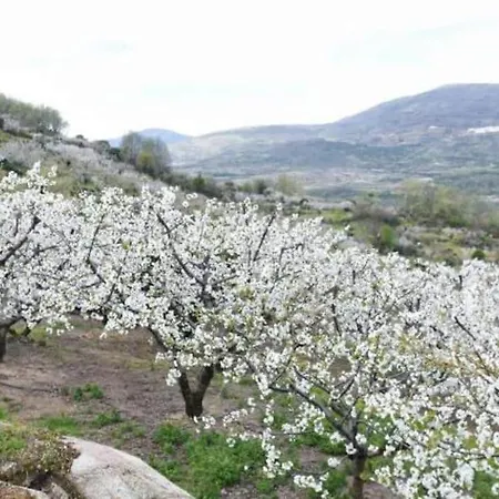 El Rincon De Markesa