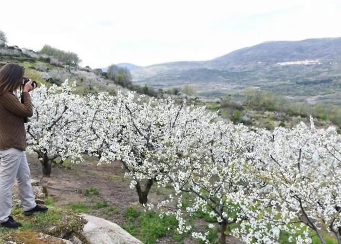 El Rincon De Markesa